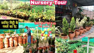 Nursery Tour ।। Cheapest Plant Nursery , Plants price with Name , Biggest Nursery In Punjab (India)