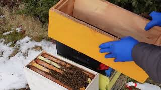 Opening a Winter Beehive