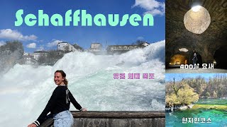 EP.3 The Romance of the Rhine river-Schaffhausen tour/The biggest waterfall in Europe/ switzerland