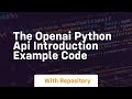 The openai python api introduction example code