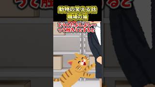 【2ch動物スレ】職場の猫