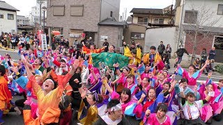 「近畿大学よさこい連 洗心」バサラカーニバル2018