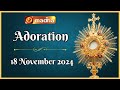 🔴 LIVE 18 November 2024 Adoration 11:00 AM | Madha TV