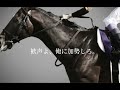 キタサンブラック 天皇賞 春 2017 jra cm風