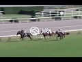 キタサンブラック 天皇賞 春 2017 jra cm風