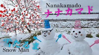 HOKKAIDO CHITOSE City 初冬のナナカマド雪景色\u0026雪だるま 2024.11.24