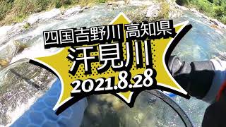 汗見川 鮎の友釣り 高知県 嶺北 2021 08 28