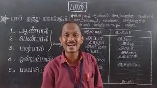 பால்  இலக்கணம் ,வகுப்பு 2  தமிழ்