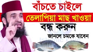 🔴বাচতে চায়লে আজ থেকে তেলাপি মাছ খাওয়া বন্ধ করুন,বড় বিপদ হবে=মিজানুর রহমান আজহারী/তাং=Dec 6, 2024জপগ