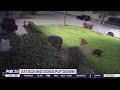 Dogs accused of attacking pets in neighborhood put down