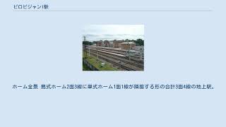 ビロビジャンI駅