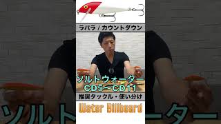 【ルアー紹介】ラパラ カウントダウン - RAPALA COUNT DOWN【シーバス】 #shorts  #シーバス釣り #デイゲーム #旧江戸川