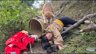 A Vietnamese girl had an accident while looking for a smart dog lost in the forest - ha thi muon