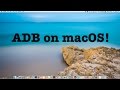 [TUTORIAL] How to use ADB on macOS!