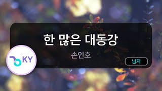 [멜로디제거] 한 많은 대동강 - 손인호 (KY.761) / KY Karaoke