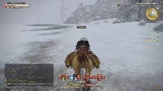 FF14_北米サバ_新生編終盤_ケモノニンジャ_シロキバ。