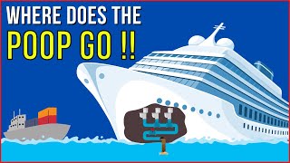 Where Does Poop Go on a Cargo and Cruise Ship