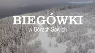 Biegówki w Górach Sowich #1