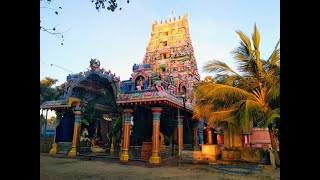 காரைநகர் வலந்தலை மடத்துக்கரை  முத்துமாரியம்மன் ஆலய தேர் திருவிழா 23.02.2024