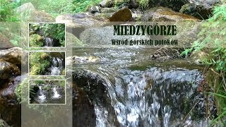 Międzygórze  - Relaks wśród górskich potoków