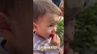 拿铁为了配合奶奶：买草莓送小猴