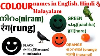 Colour Names with Image in Hindi, Malayalam \u0026 English for Kids.  നിറങ്ങളുടെ പേരുകൾ മൂന്നു ഭാഷകളിൽ.