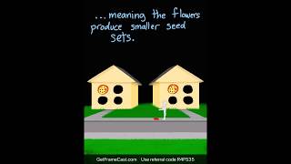 Pollen Limitation III: Measuring Pollen Limitation