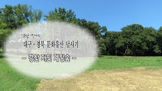 [대구·경북 문화유산답사기] 6. 경산 자인 계정숲