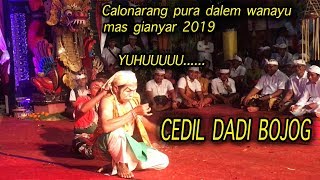 CEDIL DADI BOJOG AJAK BARONG DI WANAYU GIANYAR