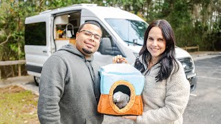 DIY Van Conversion: How We Built Our Dream Home in a Ford Transit