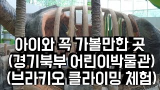 아이와 꼭 가볼만한 곳 (경기북부 어린이박물관)(브라키오 클라이밍 체험)A must-visit place with children (Children's Museum