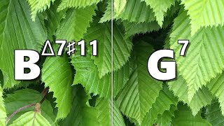 Bmaj7#11 to G7 Backing Track