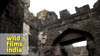 Chand Minar - Daulatabad, Maharashtra