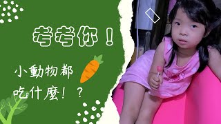 吳謹言萌娃👧知道小動物都吃什麼！？|小孩的回答就是簡單可愛！|3歲2個月28天