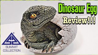 Summit Collection Gifts Hatching Dinosaur Egg Review!!!