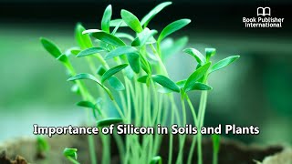 Importance of Silicon in Soils and Plants