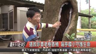 1051214觀天下新聞HD08 搶救珍貴老樹香楠 瑞亭國小守護生命