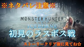 【MHWI】ラスボスを往復ビンタ