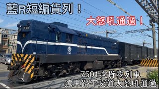 純蓬守貨列！7501次貨物列車 遠東路平交道大怒吼通過