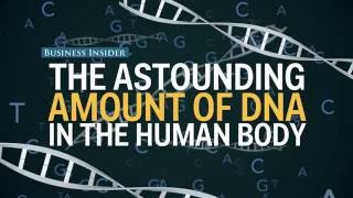 The astounding amount of DNA in the human body