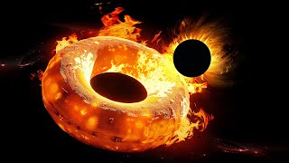 What Happens When a Black Hole Meets the Sun