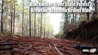 Blackwater River State Forest / Brewton, Alabama Gravel Ride!