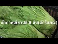 ผักกาดแห้ง โฮมเมด ไช่กัว สำหรับทำขาหมู ต้มจับฉ่าย ถนอมอาหาร by krua sukjai ครัวสุขใจ