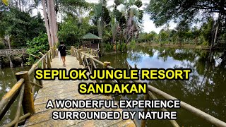 Immerse Yourself in Nature's Embrace at Sepilok Jungle Resort, Sandakan | Sabah, Malaysia (Vlog)