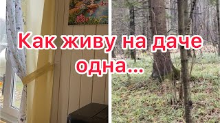 Тёплая осень и жизнь в окружении леса🌲🌲🌲