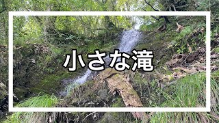 5分のリラックス　マイナスイオン　小さな滝　水音　高知の自然