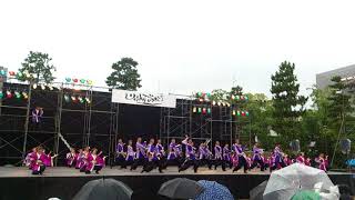 陽舞笑　YOSAKOI高松祭り2017中央公園メイン2日目