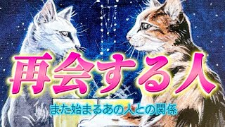 【衝撃？やっぱり？】近々再会✨また繋がり、関係が始まるのは誰？あの人の気持ち💗あなたの気持ち💛2人のご縁とは、、、。復縁　個人鑑定級　透視タロット占い