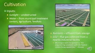 Biofuel From Microalgae