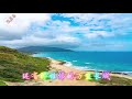 《坐上动车去台湾》dj，网络流行歌曲~~动感好听